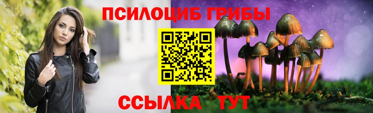 Псков  Псилоцибиновые грибы ЛСД  Псилоцибиновые грибы MAGIC MUSHROOMS  Вход с VPN 